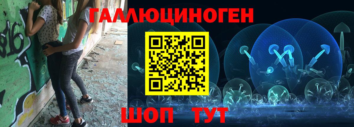 Псилоцибиновые грибы MAGIC MUSHROOMS  Вход с VPN  Выборг 