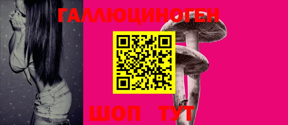 Псилоцибиновые грибы Cubensis Выборг